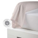 PERCALE MAX BEIGE